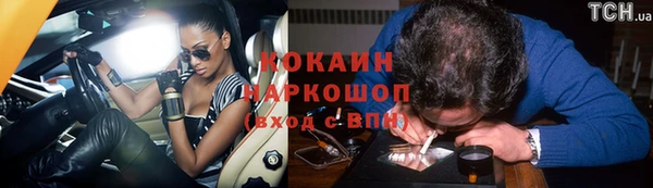 гидра Алексин