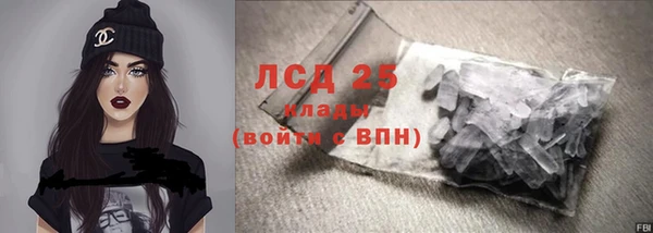 сатива Кулебаки