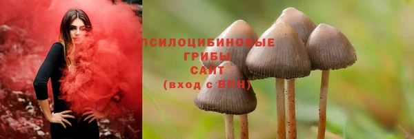 гидропоника Киренск