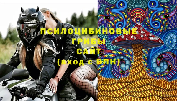 бошки Алексеевка