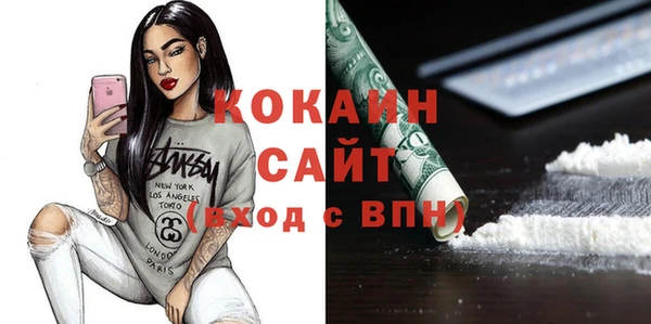 гидра Алексин