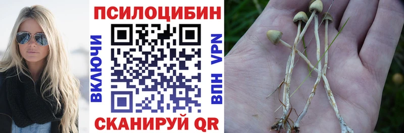 Псилоцибиновые грибы GOLDEN TEACHER Отрадная